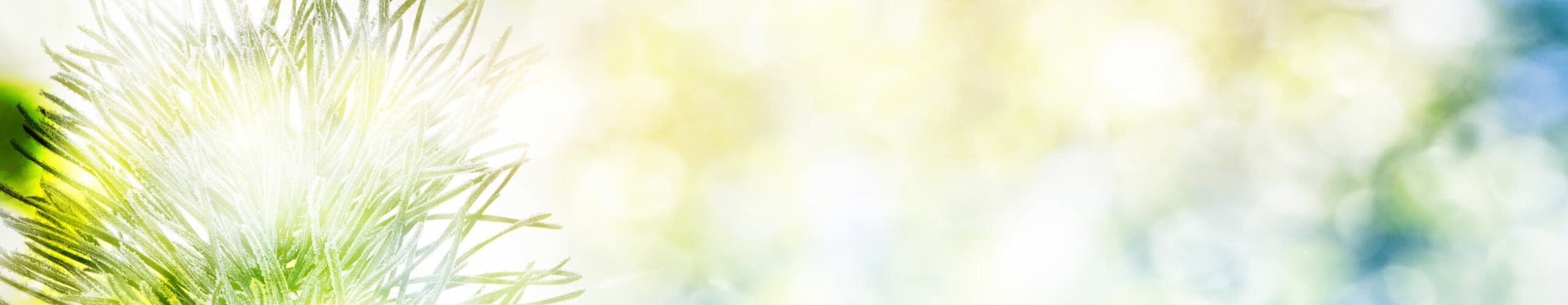 Geospatial Career Coach